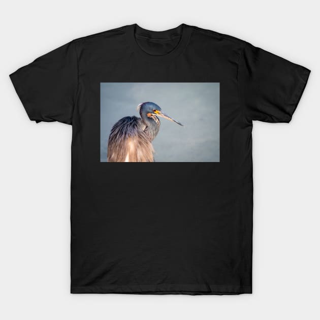 Tri-colored Heron Portrait in Morning Light T-Shirt by Debra Martz